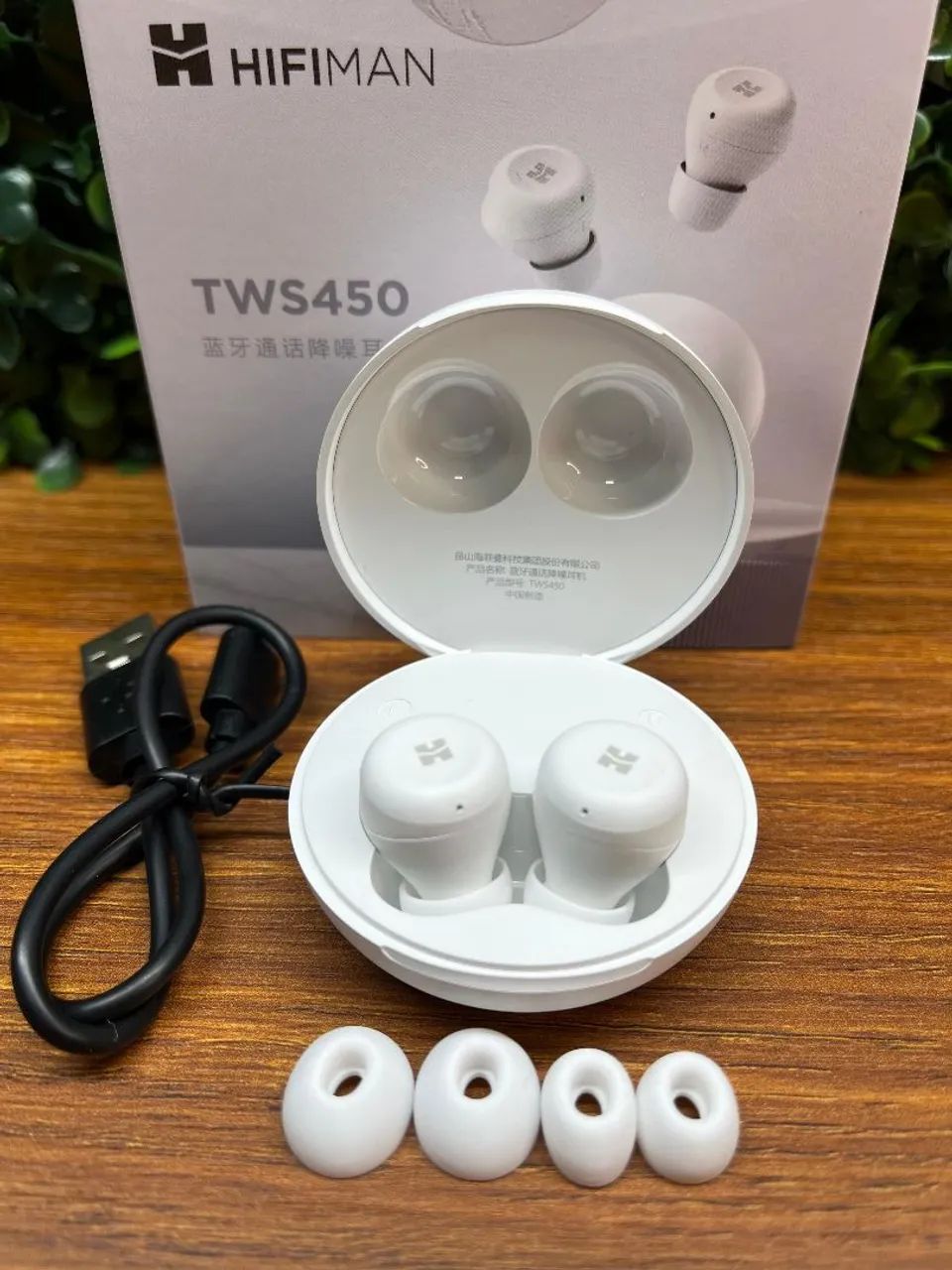 Hifiman TWS450 accessories