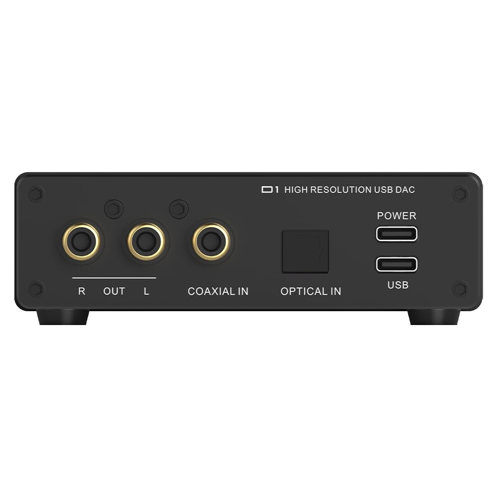 SMSL D1 DAC inputs